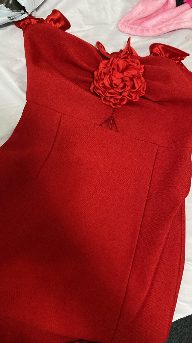 Mambo Dress❤️
